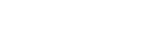 Curriculum Insight, logo, white